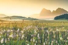 利记足球比分-深度剖析，利记足球比分背后的战术博弈与数据密码