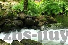足球比分呢-足球比分呢，绿茵场上的数字交响曲