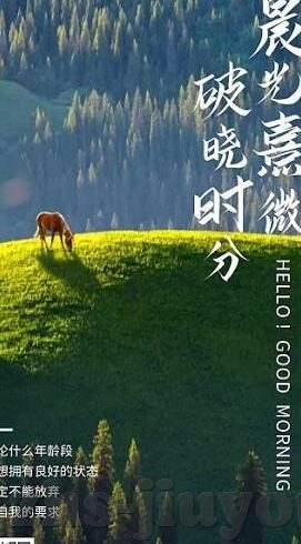 足球直比分直播500-足球比分直播500，一场速度与激情的数字盛宴